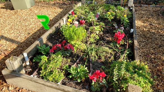 6. Why Choose Rabail Technologies for Foggers & Misting Systems